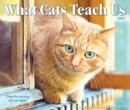 What Cats Teach Us 2022 Box Calendar, Daily Desktop - Book