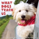 What Dogs Teach Us 2022 Mini Wall Calendar - Book