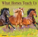 What Horses Teach Us 2022 Mini Wall Calendar - Book