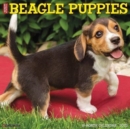 Just Beagle Puppies 2023 Wall Calendar - Book