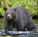 Black Bears 2023 Wall Calendar - Book