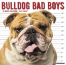 Bulldog Bad Boys 2023 Wall Calendar - Book