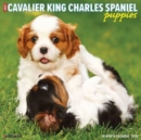 Just Cavalier King Charles Spaniel Puppies 2023 Wall Calendar - Book