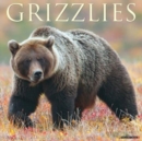 Grizzlies 2023 Wall Calendar - Book