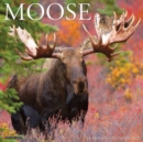 Moose 2023 Wall Calendar - Book