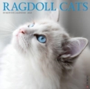 Ragdoll Cats 2023 Wall Calendar - Book