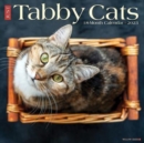 Just Tabby Cats 2023 Wall Calendar - Book