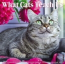 What Cats Teach Us 2023 Wall Calendar - Book
