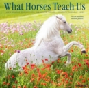 What Horses Teach Us 2023 Wall Calendar - Book