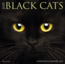 Just Black Cats 2023 Mini Wall Calendar - Book
