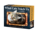 What Cats Teach Us 2023 Box Calendar - Book