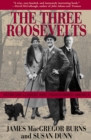 The Three Roosevelts : Patrician Leaders Who Transformed America - eBook