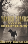 Yonder Stands Your Orphan - eBook