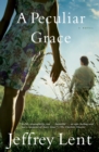 A Peculiar Grace : A Novel - eBook
