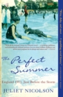 The Perfect Summer : England 1911, Just Before the Storm - eBook