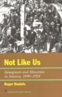 Not Like Us : Immigrants and Minorities in America, 1890–1924 - Book