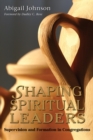 Shaping Spiritual Leaders : Supervision and Formation in Congregations - eBook