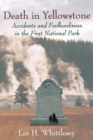 Death in Yellowstone : Accidents and Foolhardiness in the First National Park - eBook