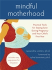 Mindful Motherhood: Practical Tools for Staying Sane During Pregnancy and Your Child's First Year : Practical Tools for Staying Sane During Pregnancy and Your Child's First Year - Book