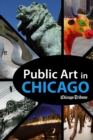 Public Art in Chicago : Photography and Commentary on Sculptures, Statues, Murals and More - eBook