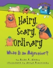 Hairy, Scary, Ordinary - eBook