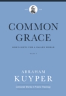 Common Grace (Volume 1) : God's Gifts for a Fallen World - eBook