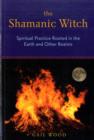 Shamanic Witch : Spiritual Practice Rooted in the Earth and Other Realms - Book