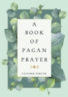 A Book of Pagan Prayer - Book