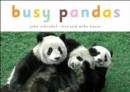Busy Pandas - Book