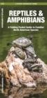 Reptiles & Amphibians : A Folding Pocket Guide to Familiar North American Species - Book