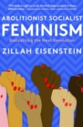 Abolitionist Socialist Feminism : Radicalizing the Next Revolution - eBook