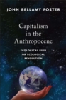 Capitalism in the Anthropocene : Ecological Ruin or Ecological Revolution - eBook