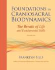 Foundations in Craniosacral Biodynamics, Volume One - eBook