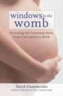 Windows to the Womb - eBook
