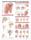 Anatomy and Injuries of the Shoulder Anatomical Chart - Book