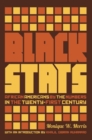 Black Stats : African Americans by the Numbers in the Twenty-first Century - eBook