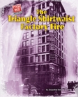 The Triangle Shirtwaist Factory Fire - eBook