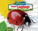 Helpful Ladybugs - eBook