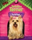 Yorkshire Terrier - eBook