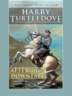 After the Downfall - eBook