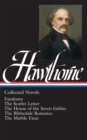 Nathaniel Hawthorne: Collected Novels (LOA #10) Blithedale Romance / Fanshawe / Marble Faun - eBook