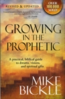 Growing In The Prophetic - eBook