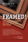 FRAMED! - eBook