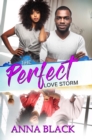 The Perfect Love Storm - eBook