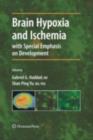 Brain Hypoxia and Ischemia - eBook
