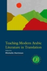 Teaching Modern Arabic Literature in Translation - eBook