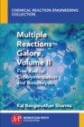 Multiple Reactions Galore, Volume II : Free Radical Copolymerization and Biocatalysis - eBook