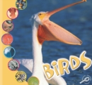 Birds - eBook