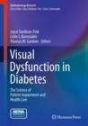 Visual Dysfunction in Diabetes : The Science of Patient Impairment and Health Care - eBook