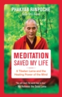 Meditation Saved My Life : A Tibetan Lama and the Healing Power of the Mind - eBook